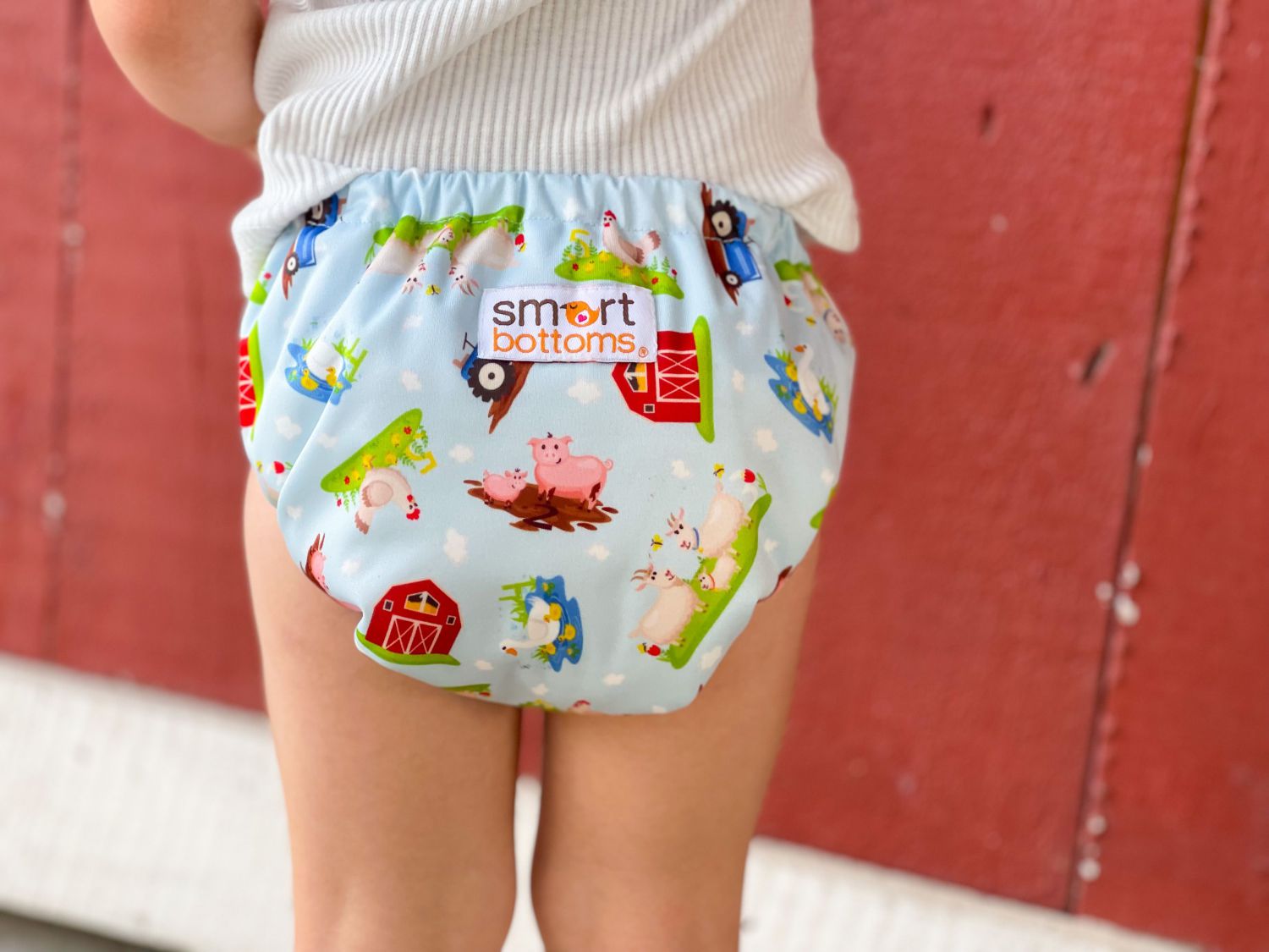 Smart Bottoms Dream Diaper 2.0 AIO One Size