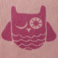 Eule pink (Pink owl)