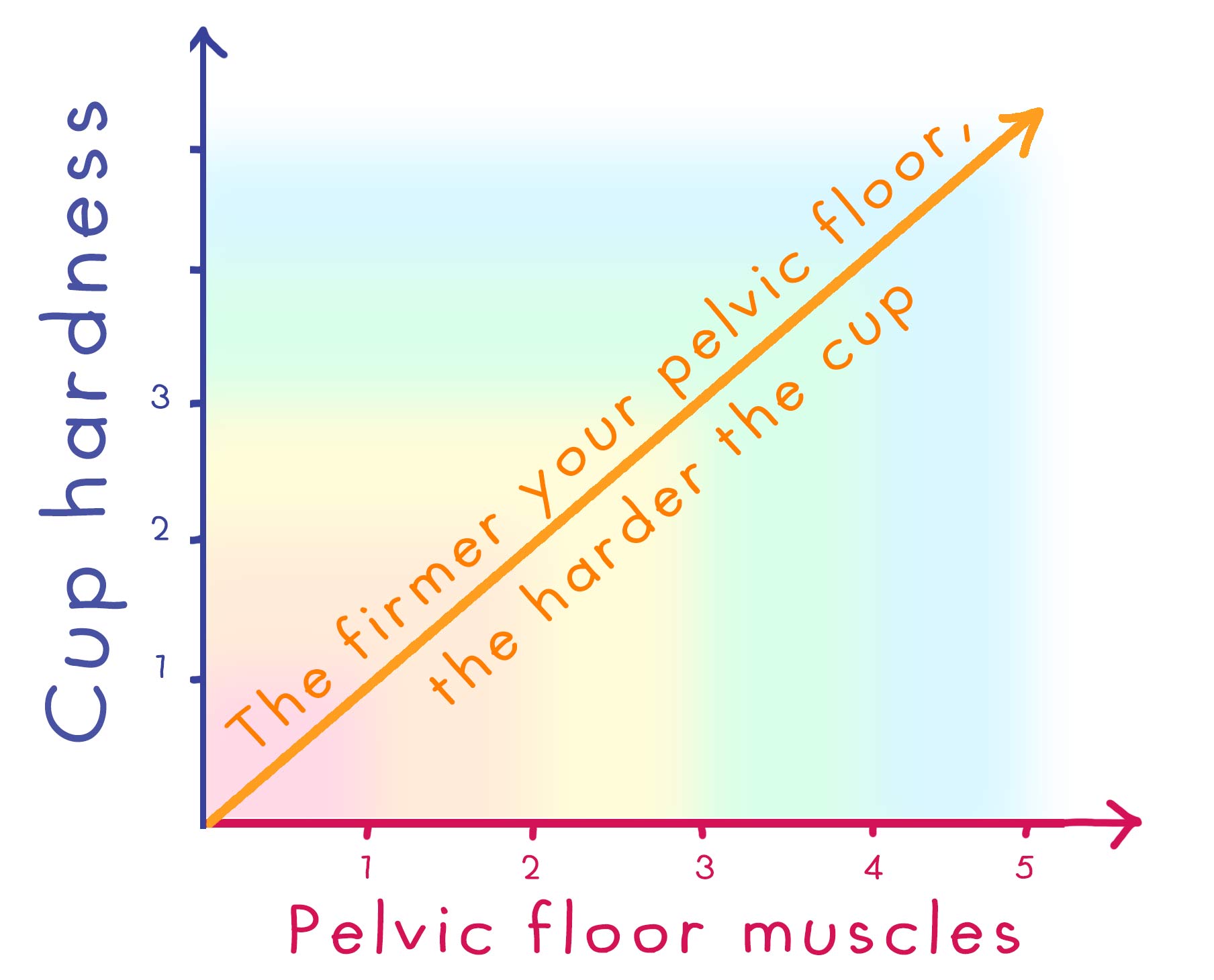 Cup hardness und Pelvic floor muscles, the firmer your pelvic floor, the harder the cup should be