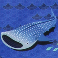 Walhai (Whale Shark)